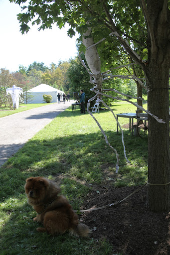 Yes, I'll follow the director's orders and sit here tied to this tree for now, even though I spent ALL morning getting my fur to look just so!