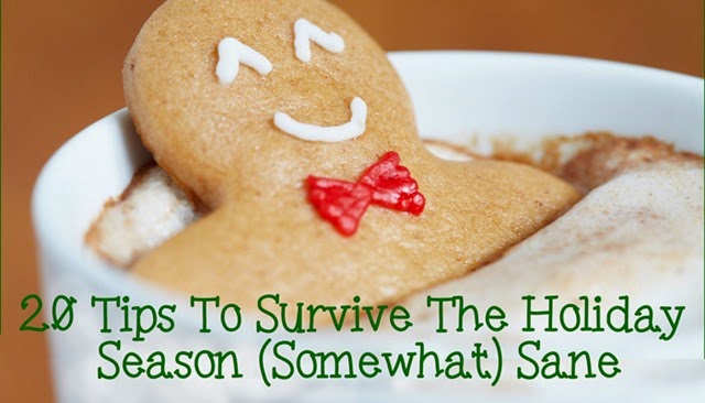 [20-Tips-To-Survive-The-Holiday-Season%255B3%255D.jpg]