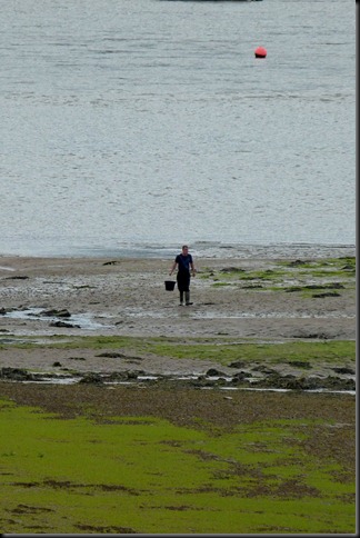 estuary 015