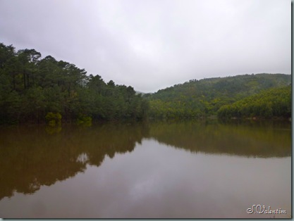 P1200127 P1200127