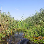 IMG_5710.JPG