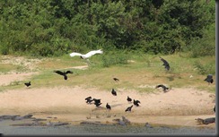 IMG_2862 IMG_2862