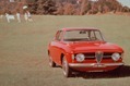 Alfa-Romeo-Giulia-11 Alfa-Romeo-Giulia-11