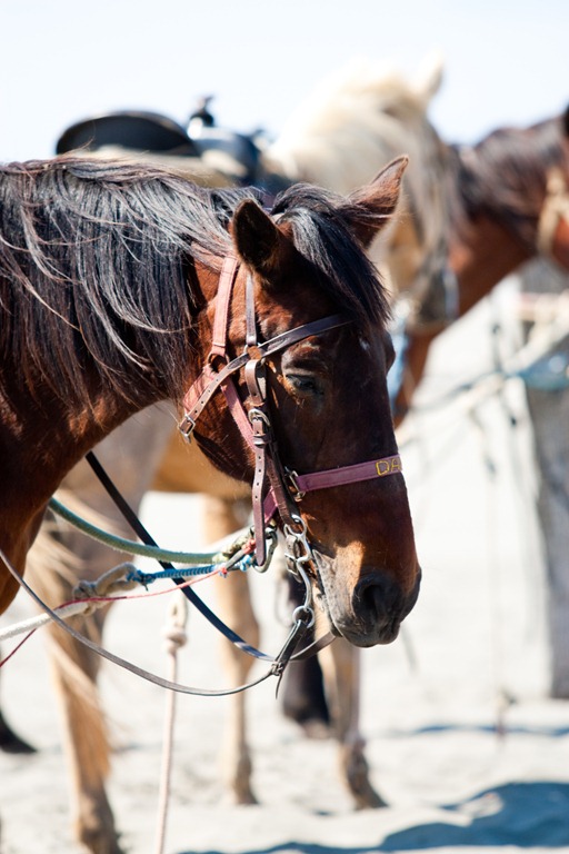 [20110611-IMG_06997.jpg]