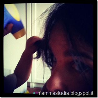 IMG_1295 IMG_1295