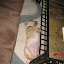 Daphne_day 5