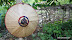 DSC04356.JPG