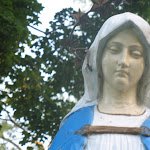 Montego Bay 181.JPG