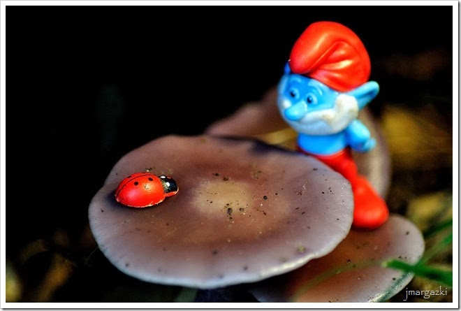 DSC_0368 DSC_0368