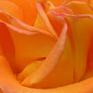 IMG_2761.JPG