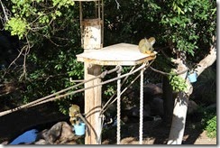IMG_6495 IMG_6495