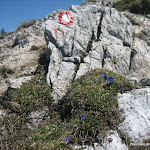 C 7 Blegoš IMG_0261.jpg