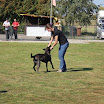 IMG_3060.JPG