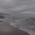 DSC_0177.jpg