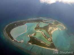 Nalandhoo island is being artificially modified for commercial harvesting of alien species of sea cucumber. Lagoons on the island have been affected by toxic discharge from this monoculture. Photo: NIOS via Sea Shepherd