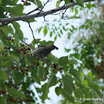 IMG_4836.jpg