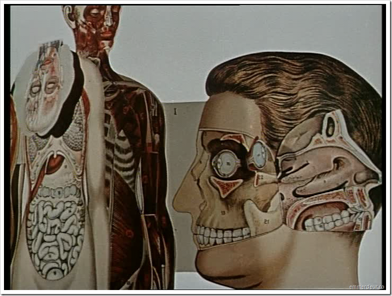 jan svankmajer historia naturae emmerdeur_568 jan svankmajer historia naturae emmerdeur_568