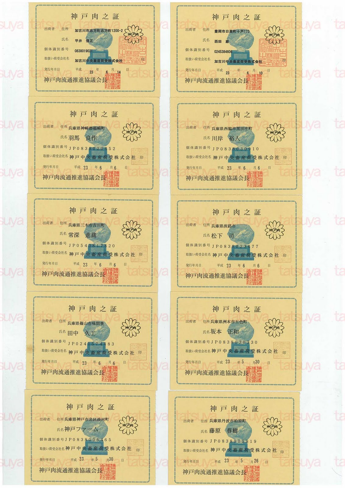 [LOT-11061601-%25231.jpg]