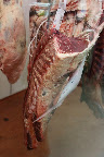 Cattle (after)