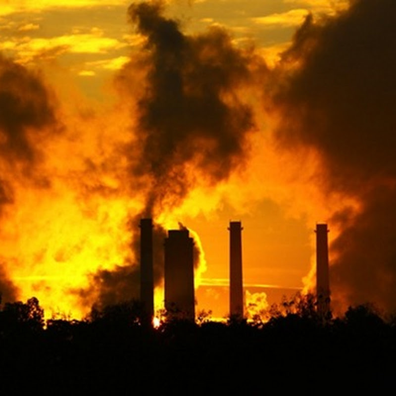 Los 10 efectos del cambio climático