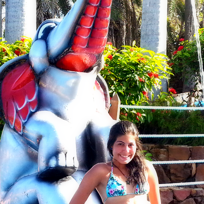 Thyeme Figueiredo Thyeme Figueiredo