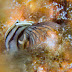 P7285782