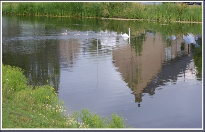 DSC06536-crop DSC06536-crop