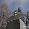 dsc07446.jpg
