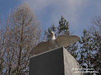 dsc07446.jpg