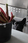 Look at those pretty stalks of rhubarb.  Rhubarb makes a really great pie!