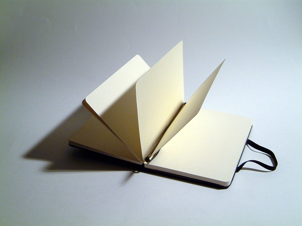 [blank-book2.jpg]