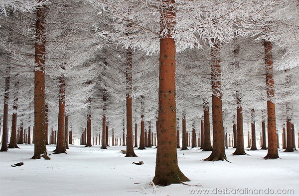 paisagens-de-inverno-winter-landscapes-desbaratinando (7)