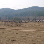 Остатки фермы в Серпиевке.