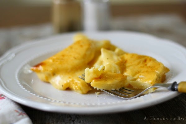 cheddar-jack-cheese-potato at home on the bay Cheddar jack cheese potato at home on the bay