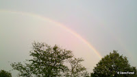 2011-08-19_19-21-05_983.jpg