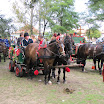 2010_szuret_006.jpg