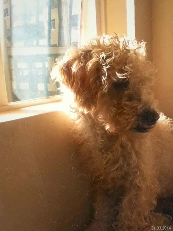Perry-tomando-sol Perry-tomando-sol