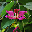 DSC_0051.JPG