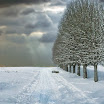tannay winter`.jpg