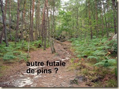 Route de la Solitude-1 Route de la Solitude-1