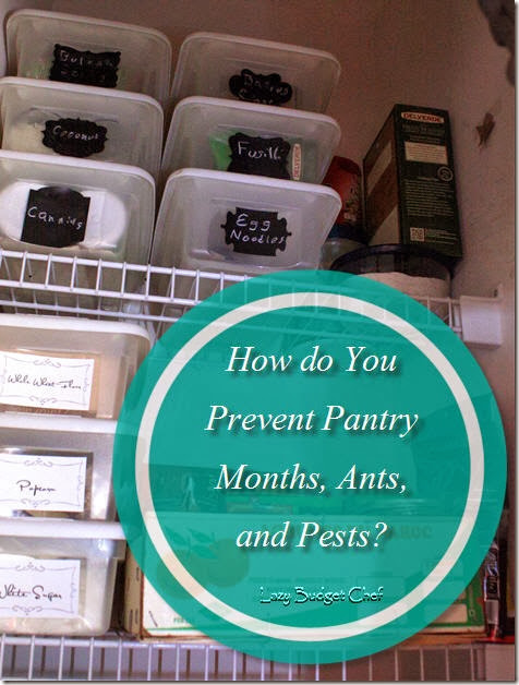How do You Prevent Pantry Months Antsand Pests