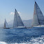 r113.jpg