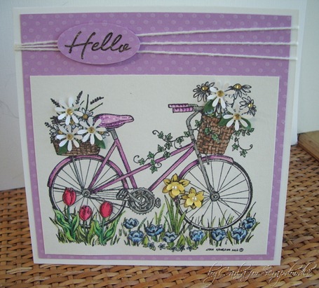 Northwoods Bicycle, Punch Flowers, Watercolor, Scrapadoodle, Carla's Scraps (9)