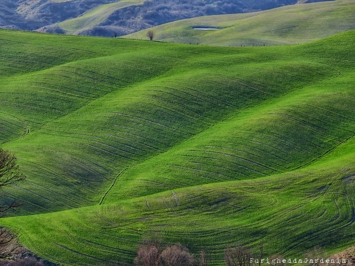 Panorama da Torre a Castello Crete Senesi