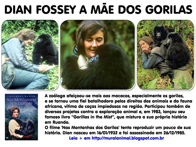 [dian_fossey_mae-gorilas%255B3%255D.jpg]
