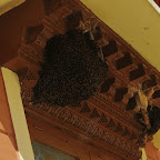 DSC_8046.jpg