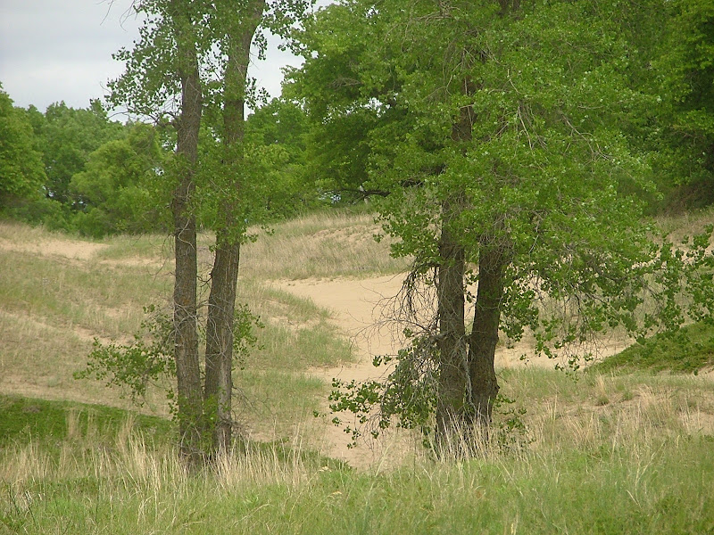 Fertile MN. Sand Hill River Recreation Area & Agassiz Learning Ctr