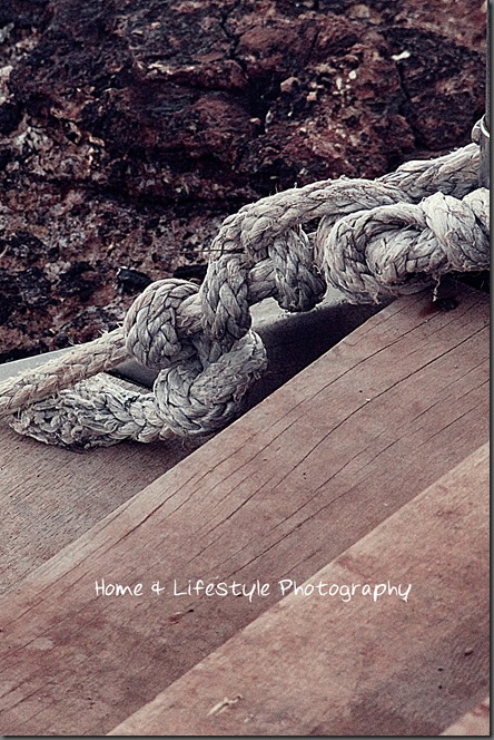 Home & Lifestyle IMG_1560a-1