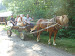 P1090954.JPG