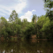 A Calm Lynx Lake